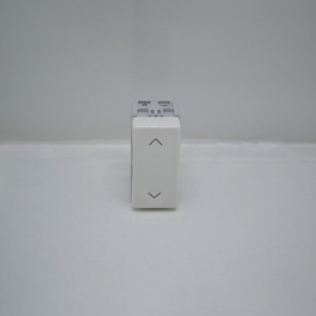 Double Single Button Na 10A Vertical Arrows - GEWISS