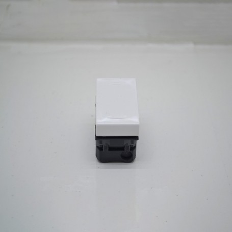 1P Banquise Switch