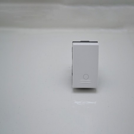 Bivalent socket Banquise